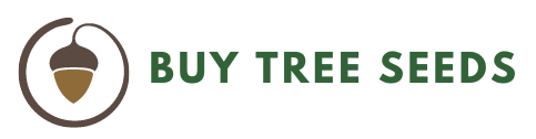 Buy Tree Seeds